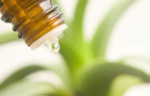 homeopatia
